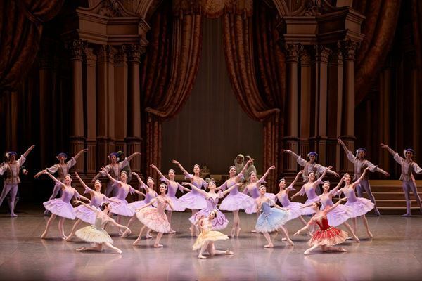 再びのオーロラ姫を控えた秋山瑛、東京バレエ団『眠れる森の美女』の魅力を語る「本当に物語の中にいるよう」