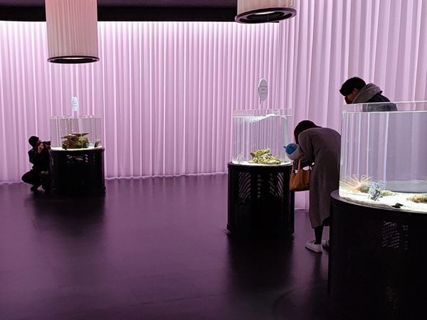 多様な魚や動物、人間との関係性を楽しく考えよう！『あなたも愉快な生きものだ！展』開催中