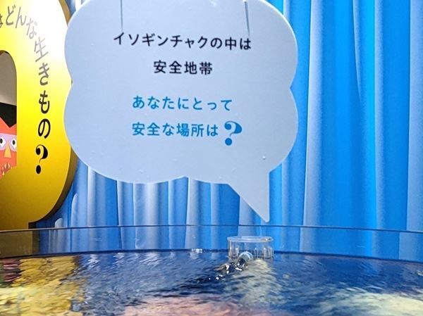多様な魚や動物、人間との関係性を楽しく考えよう！『あなたも愉快な生きものだ！展』開催中