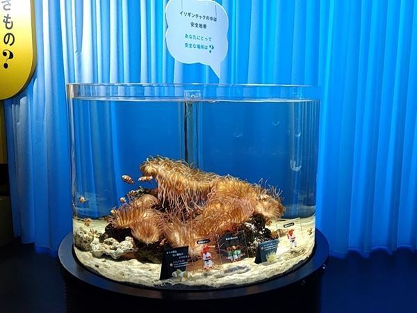 多様な魚や動物、人間との関係性を楽しく考えよう！『あなたも愉快な生きものだ！展』開催中