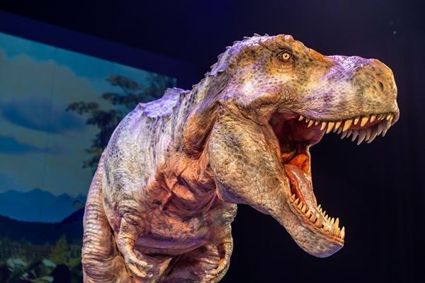 大人気ステージ『恐竜ラボ！』が東北エリアに登場