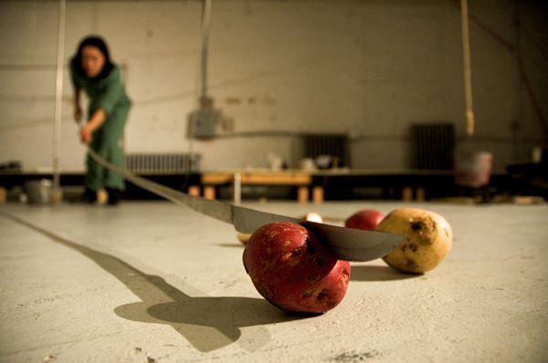 ニューヨーク拠点のアーティスト・笹本晃による初のミッドキャリア個展　造形表現とパフォーマンスを往還する20年に及ぶ活動を展観