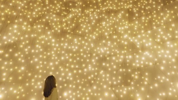 「チームラボ バイオヴォルテックス 京都」2025年秋、京都駅東南部エリアにオープン　新作、日本未公開作などでこれまでにない没入体験を創出