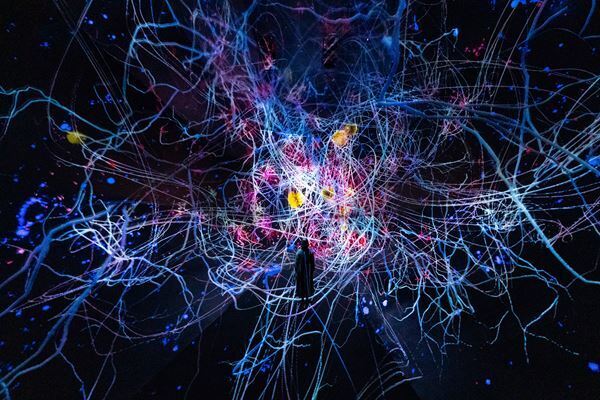 「チームラボ バイオヴォルテックス 京都」2025年秋、京都駅東南部エリアにオープン　新作、日本未公開作などでこれまでにない没入体験を創出