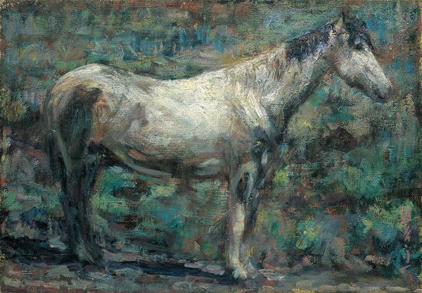 『熊谷守一美術館41周年展　守一と故郷。』4月14日から　岐阜「熊谷守一つけち記念館」の収蔵品でたどる守一の「故郷の記憶」