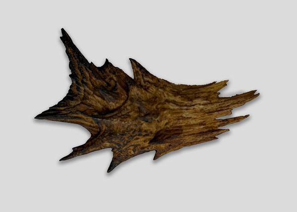 特別展『ゴジラ博 マイナスの世界』東京・大阪で11月より開催。『ゴジラ-0.0』スタチューも展示！