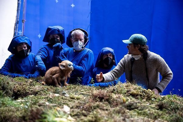 A24新作『OCHI！』監督はビョークが認めた鬼才！ 「手仕事」にこだわり8年間を捧げた映像美に注目