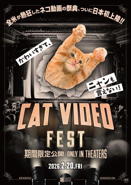 世界中から厳選されたネコ動画の祭典『CatVideoFest』日本の映画館に初上陸　予告編＆ポスターも公開