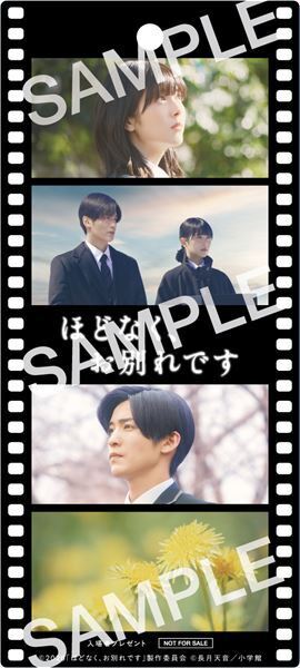 浜辺美波×目黒蓮『ほどなく、お別れです』フィルム風しおりを3日間＆50万枚限定で配布