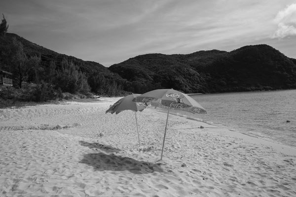 写真家・上原沙也加の個展が横浜市民ギャラリーあざみ野で開催　過去10年で発表してきた4シリーズの作品が一堂に