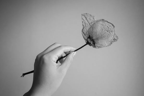 写真家・上原沙也加の個展が横浜市民ギャラリーあざみ野で開催　過去10年で発表してきた4シリーズの作品が一堂に