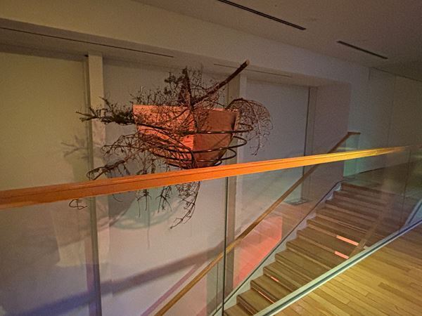 【展示レポート】『ほぼ、空：青木淳＋リチャード・タトル』　3つのエレメントで美術館の空間全体を再構成した建築家と美術家の実験的試み