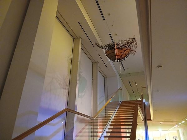 【展示レポート】『ほぼ、空：青木淳＋リチャード・タトル』　3つのエレメントで美術館の空間全体を再構成した建築家と美術家の実験的試み
