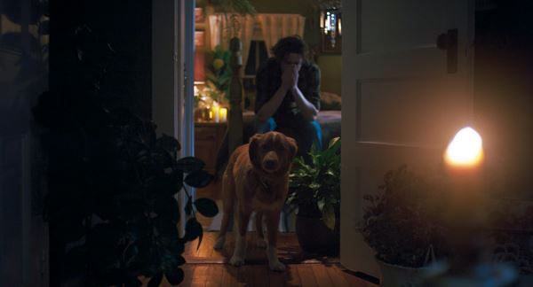 「犬にとってはラブストーリー」話題の犬目線ホラー『グッド・ボーイ』監督＆プロデューサーインタビュー