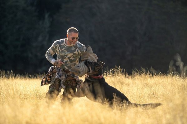 ブラッド・ピットが義足の愛犬と大自然アラスカへ！ 『ハート・オブ・ビースト』予告映像＆場面写真公開
