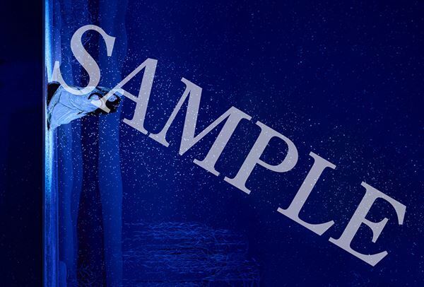 映画『国宝』吉沢亮×横浜流星の劇中カットが特典に！ ポストカード全3種の配布が決定