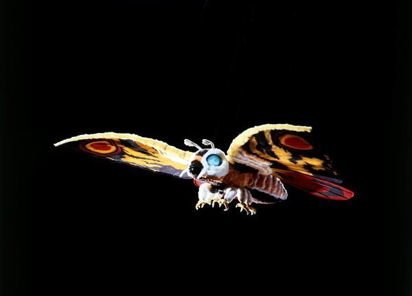 『ゴジラ博』が新潟上陸！ メモリアルイヤーの「モスラ」展示が目白押し