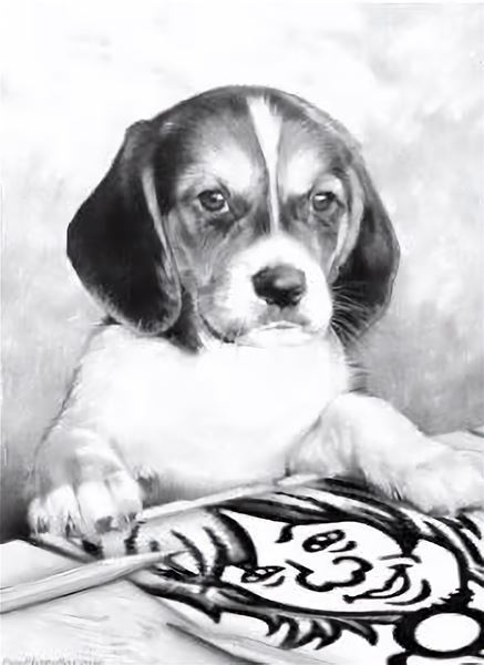 ORANGE RANGE・NAOTOのソロ名義 "naotohiroyama"、 最新作「lotus」配信＆リリースパーティー開催決定