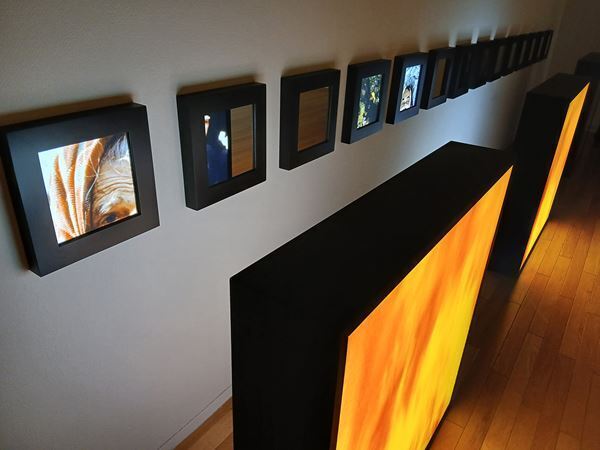 【展示レポート】『アルフレド・ジャー　あなたと私、そして世界のすべての人たち』異なる価値観をもつ他者との共生を考える