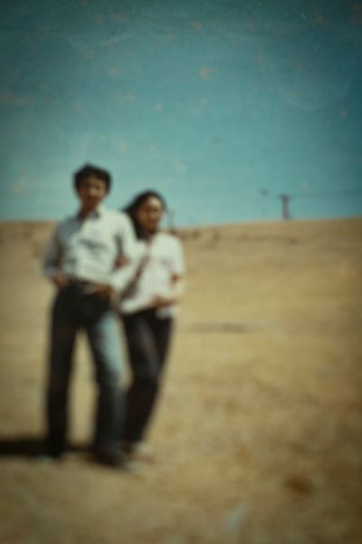 『蜷川実花展 はじまりの光』9月12日開幕　幼少期を過ごした川口市の市立美術館開館記念展