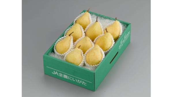 幻の西洋梨「ル レクチエ」がいよいよ今年も販売解禁！