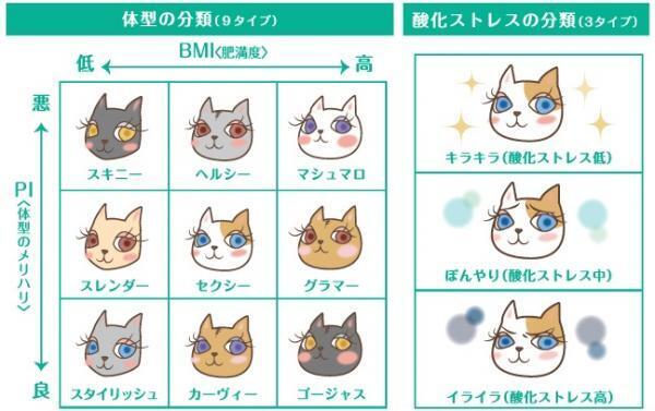 最新のダイエットは「尿を送る」ことから始まるらしい！