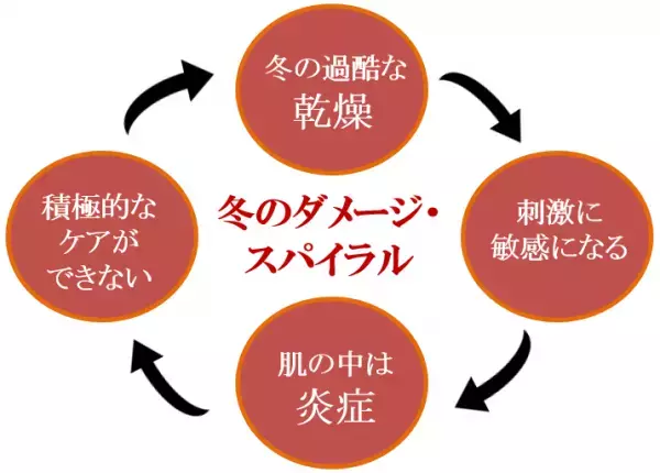 過酷な冬に負けない肌へ！高保湿効果の美容液オイルが新発売