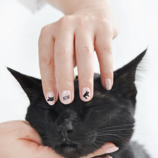 1匹のクロネコが猫仲間を救う！保護猫支援のネイルシールが新登場