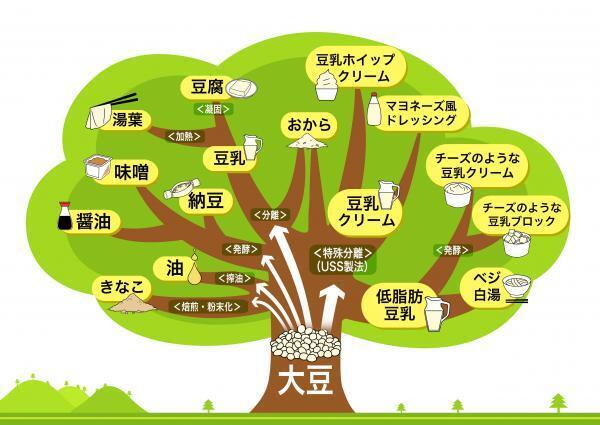 「まめ」で綺麗に！10月は「まめプラス」