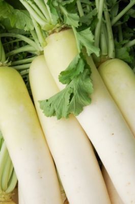 人気モデルの「生大根ダイエット」って？