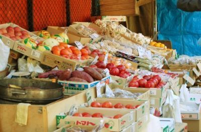 食物繊維をたっぷりとるダイエット方法...実は体に良くない？