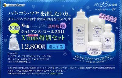 ジョジアンヌ・ロール、通販限定の「クリスマス特別セット」30セット限定で発売中