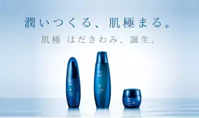 自分史上最高の肌に【肌極】