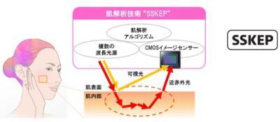 ソニー、高精度で高速な肌解析技術 “SSKEP”を開発