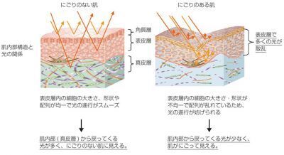 【富士フイルム】スキンケア化粧品の開発に　“肌の「にごり」”を光学的に解明