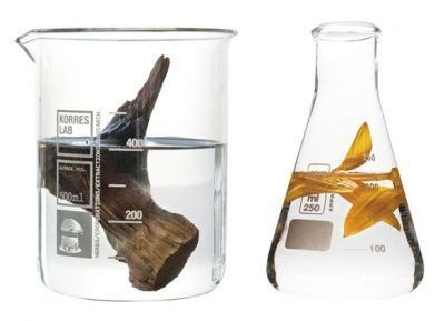 フィッツ「コレス ナチュラルプロダクト」から、髪タイプ別の新ヘアケアライン