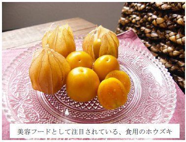 ナリス化粧品、シマホオズキの果実に高い抗老化作用を発見、本年度に製品化予定