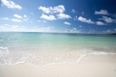 日本が誇る南の楽園で、今、恋が始まる。