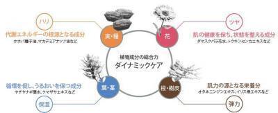 ぽっちゃりでも、特別美人じゃなくてもモテる!?　夏までにモテ肌を手に入れたい！