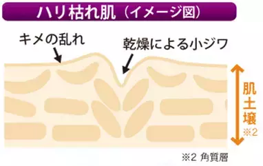 あの大手企業が自然界の美成分をコスメに凝縮！あなたの肌も一生枯れない？