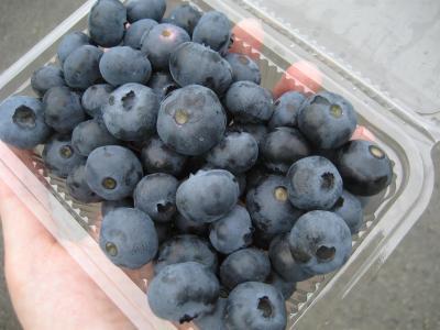 セクシー美ボディ！ぺたんこお腹に5つの食材