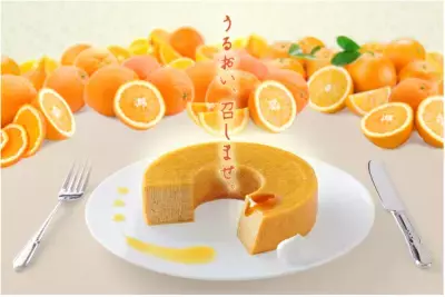 【速報】うなぎパイの春華堂がコラーゲン入りバウムクーヘン 「コラフルクーヘン」を本日よりサイト上で発売！