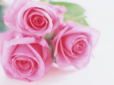 ついに登場！ディズニー・コスメティック【Beautifully Disney】