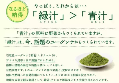 めざましテレビなど多数のメディアで話題の「緑汁」とは！？
