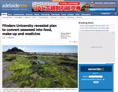 ワカメを有効活用　化粧品や医薬品、食用への開発進む【オーストラリア】