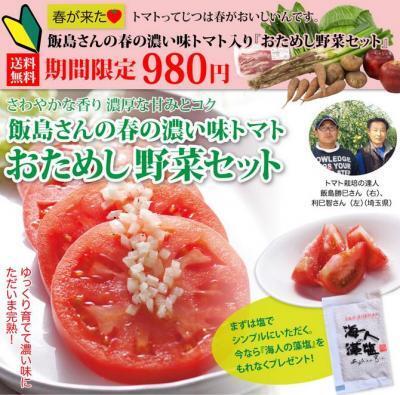 注文殺到！味の満足度96%を誇る究極の旬野菜を今だけ980円でたっぷりお試し♪
