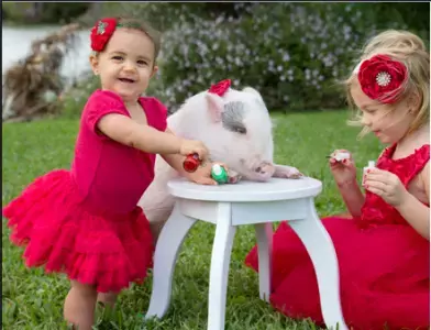 お子様とお揃いのマニキュアはいかが？