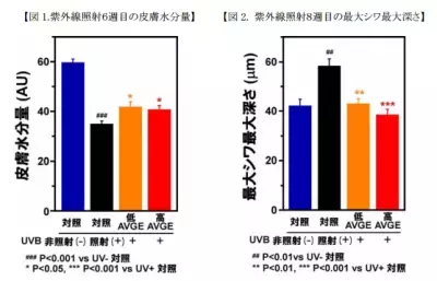 飲むだけで皮膚の光老化を予防？