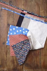 TVでも話題沸騰！ふんどし女子の待望のふんどし本がついに発刊！