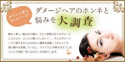 傷んだ髪、どう見られてる？みんなの髪の悩みを大調査！